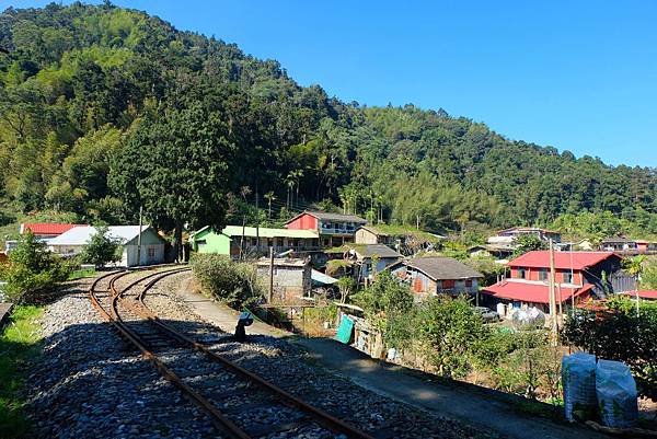 山林鐵道聚落水社寮 山林鐵道聚落水社寮