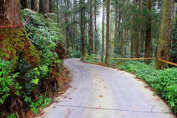 前往屏遮那的連外道路