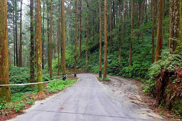 屏遮那工程連外道路一景