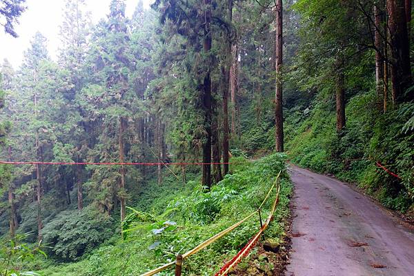 屏遮那工程連外道路一景