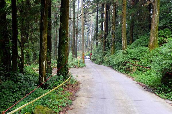 遇車輛迎面而來