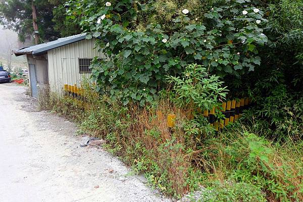 屏遮那車站站房遺址