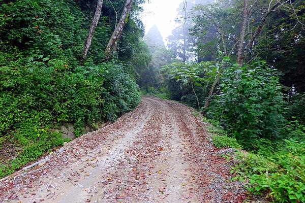 離開新隧道往十字路車站方向