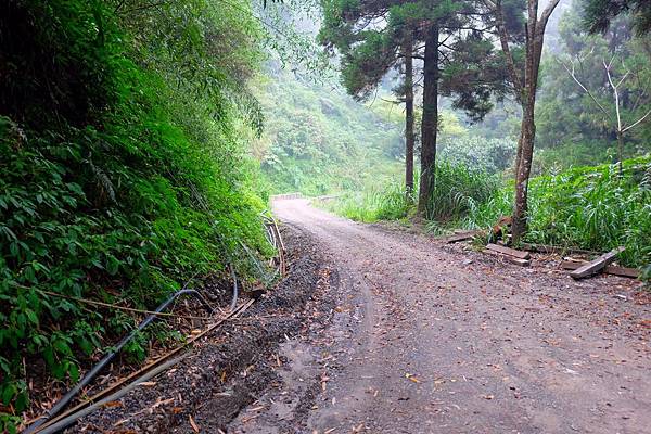 舊鐵道沿線風景