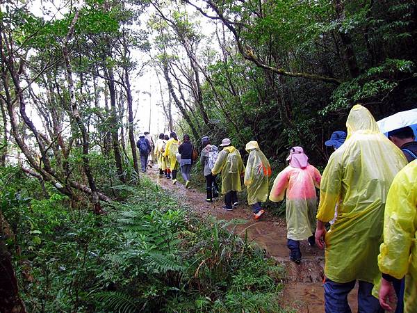 浸水營古道 浸水營古道