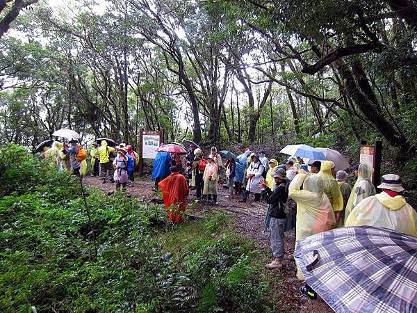 浸水營古道大塞車 浸水營古道大塞車