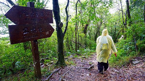 往出水坡方向 往出水坡方向