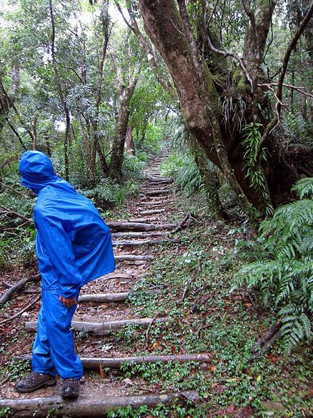 浸水營古道 浸水營古道