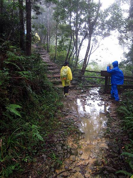 浸水營古道 浸水營古道