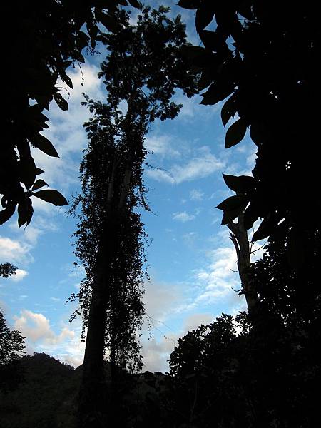 古道天空剪影 古道天空剪影