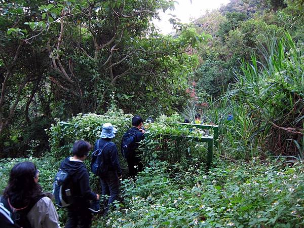 通關口設施 通關口設施