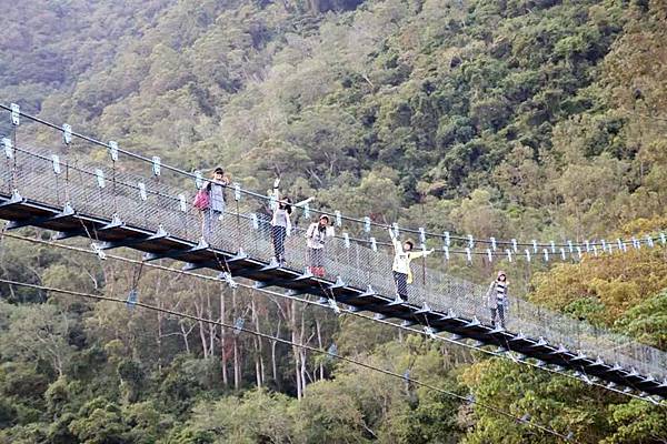 姑子崙吊橋留影 姑子崙吊橋留影