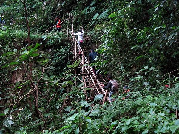 臨時搭建的竹梯棧道 臨時搭建的竹梯棧道