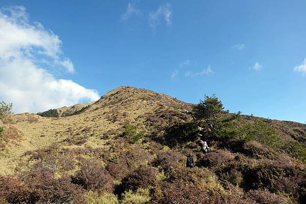 合歡北峰步道風景 合歡北峰步道風景