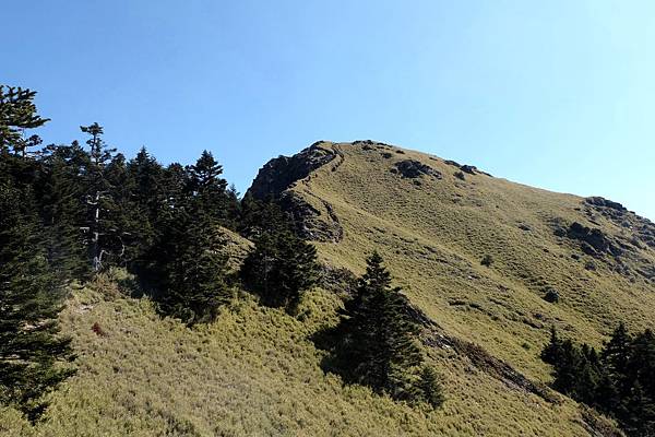 遙望山頭1 遙望山頭1