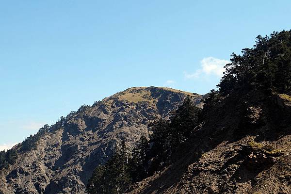 遙望合歡北峰 遙望合歡北峰