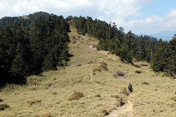 水池營地4.4K 水池營地4.4K