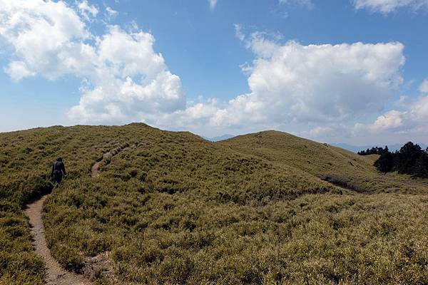 6.2K草原往山頭6 6.2K草原往山頭6