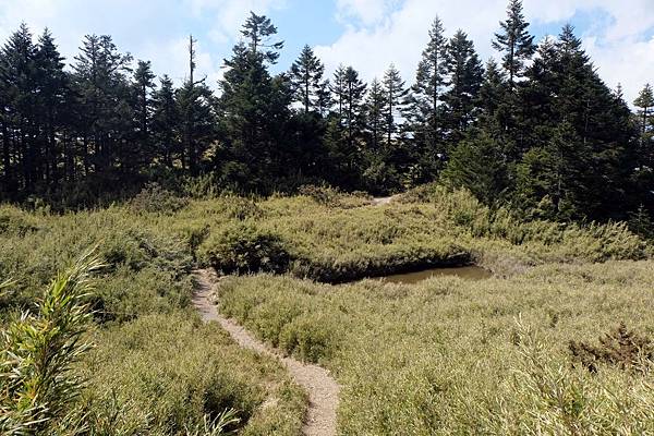 最後的高山小池 最後的高山小池