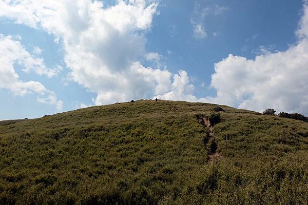 攻頂合歡西峰的最後上坡 攻頂合歡西峰的最後上坡