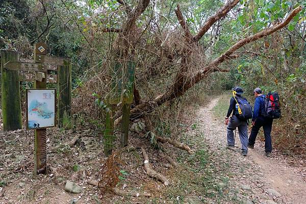 尾寮山步道2K 尾寮山步道2K