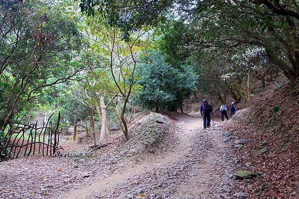 石頭公民宅附近 石頭公民宅附近