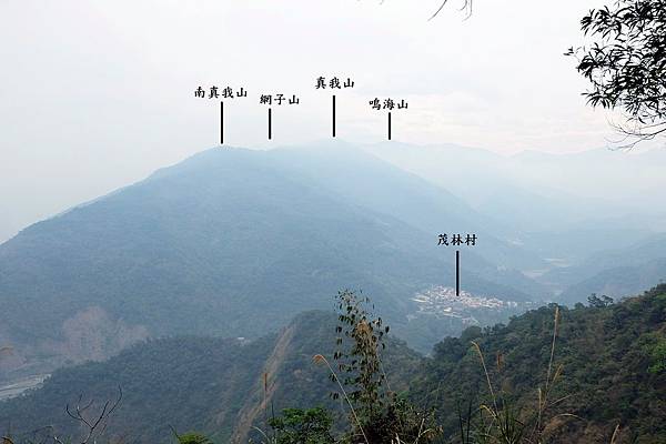 眺望茂林山谷 眺望茂林山谷