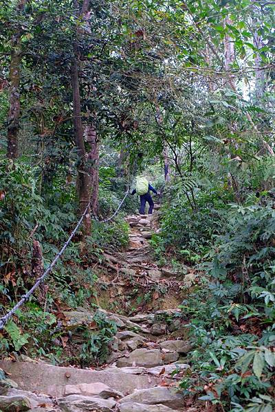 一路往上攀爬 一路往上攀爬