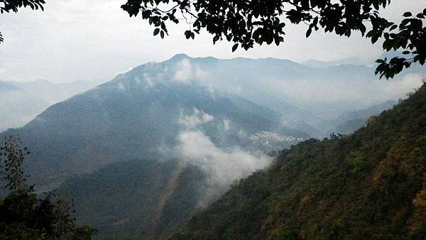 下山途中眺望茂林山谷 下山途中眺望茂林山谷