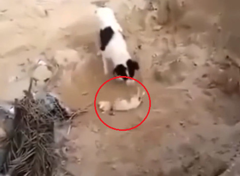 金鑽石娛樂城官網 金鑽石娛樂城官網