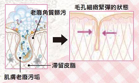 【肌膚保養】初春美肌保養步驟教學一 - 清潔!1