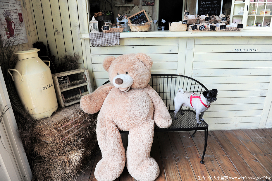 1378973958 2676774843 苗栗。100號牧場。狗狗新天地【鳥夫人】