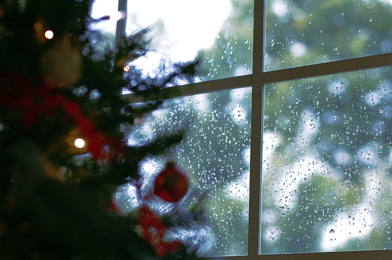 IMGP2668.JPG IMGP2668.JPG