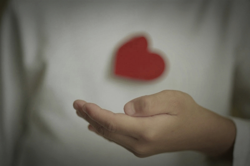 IMGP2712 copy.jpg IMGP2712 copy.jpg