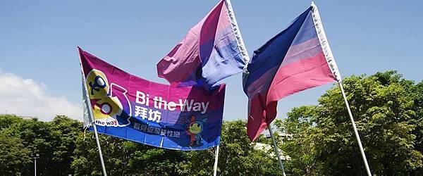 國際雙性戀驕傲旗@臺灣同志遊行 國際雙性戀驕傲旗@臺灣同志遊行