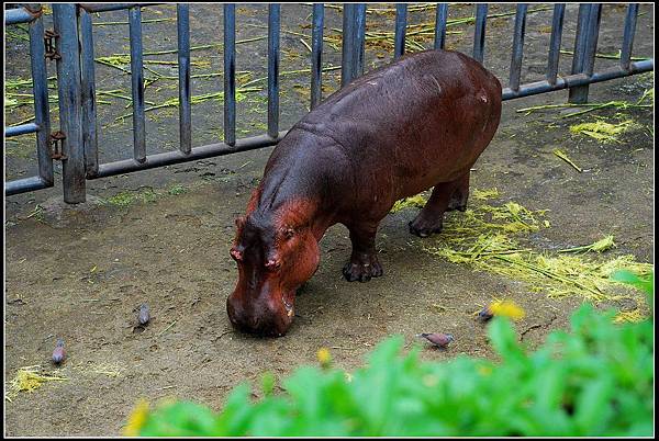 DSC_6099.jpg DSC_6099.jpg