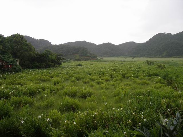 東源水上草原.JPG