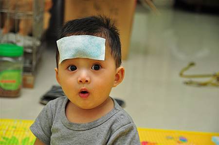 DSC_3138.JPG DSC_3138.JPG