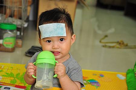 DSC_3141.JPG DSC_3141.JPG