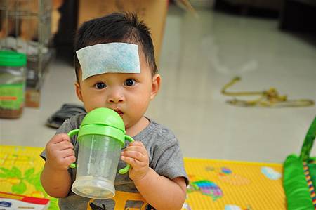 DSC_3142.JPG DSC_3142.JPG