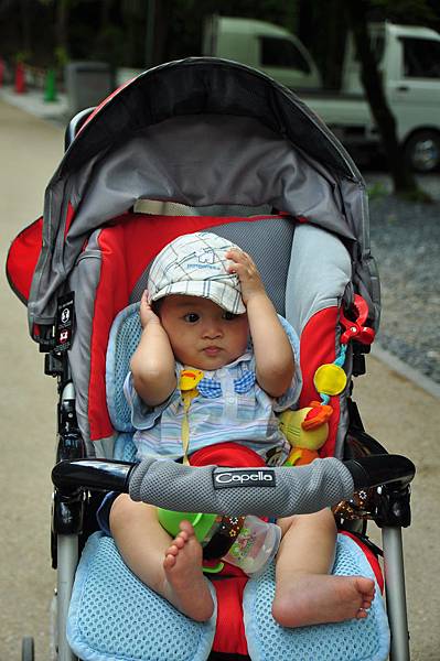 DSC_4053.JPG DSC_4053.JPG