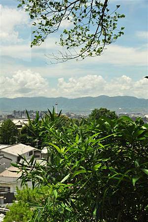 DSC_4081.JPG DSC_4081.JPG