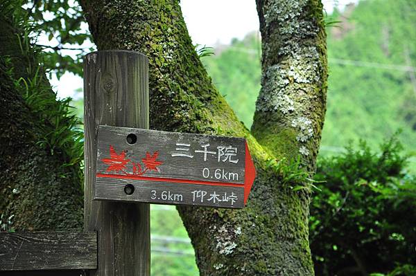 DSC_4265.JPG DSC_4265.JPG