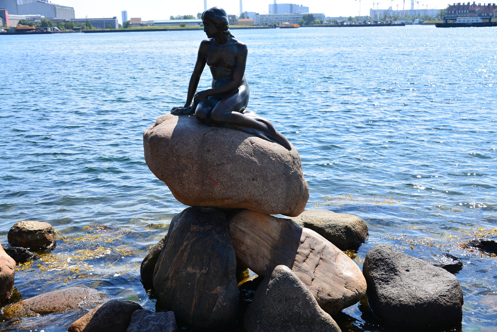 DSC_1423.JPG DSC_1423.JPG