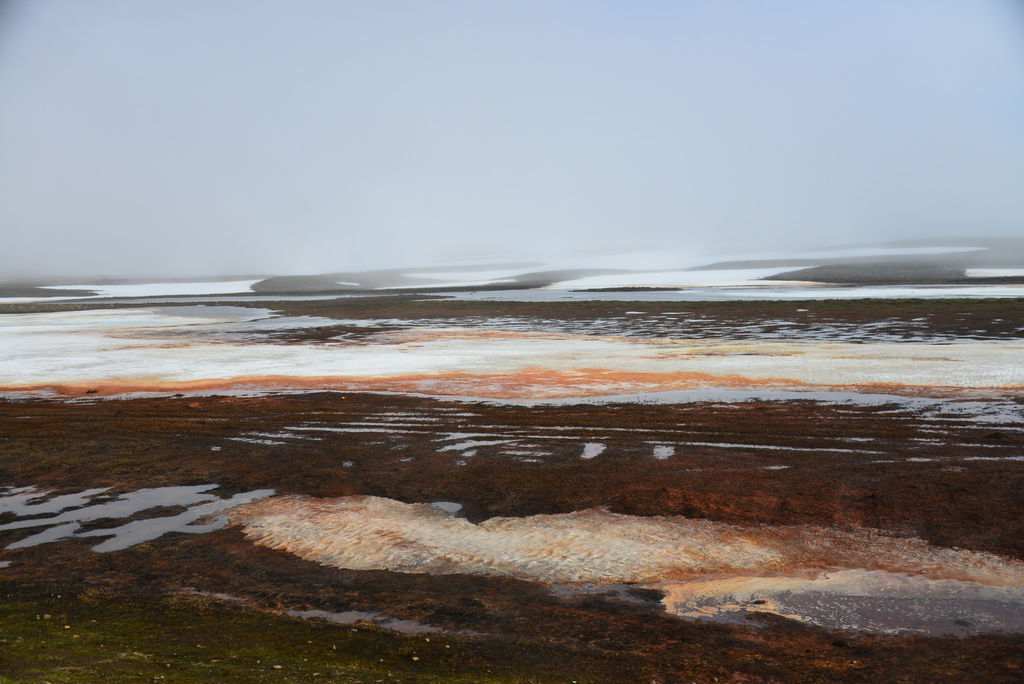 DSC_3496.JPG DSC_3496.JPG