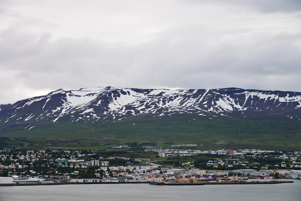 DSC_3963.JPG DSC_3963.JPG