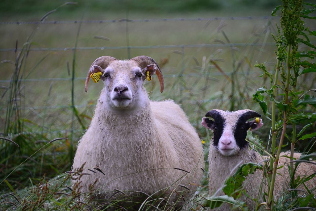 DSC_2984.JPG DSC_2984.JPG