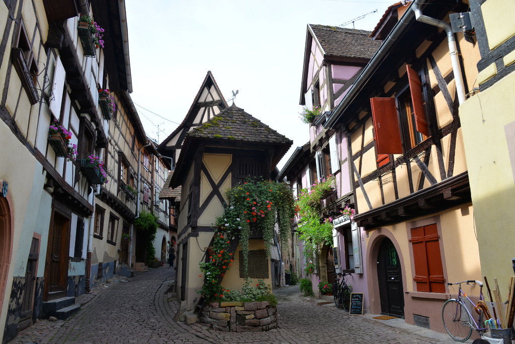 DSC_5518.JPG DSC_5518.JPG