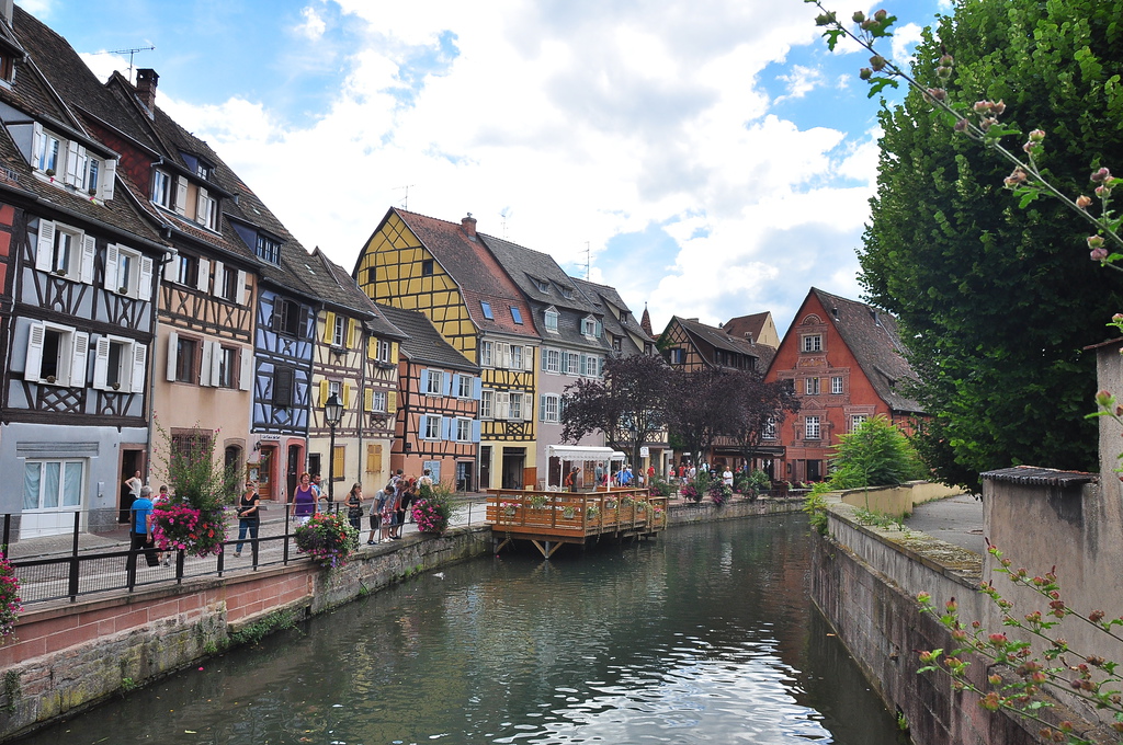 DSC_0687.JPG DSC_0687.JPG