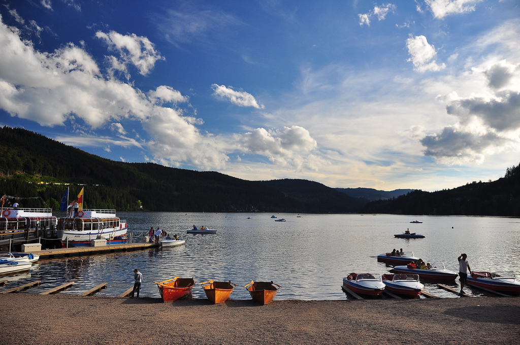 DSC_0714.JPG DSC_0714.JPG